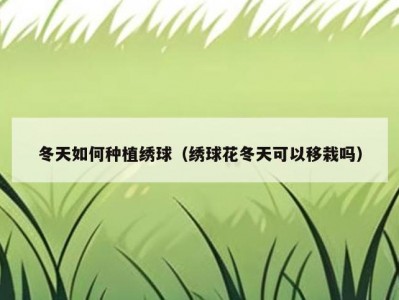 冬天如何种植绣球（绣球花冬天可以移栽吗）