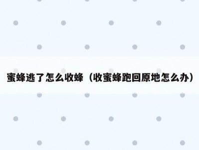 蜜蜂逃了怎么收蜂（收蜜蜂跑回原地怎么办）