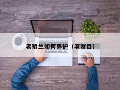 老蟹兰如何养护（老蟹目）