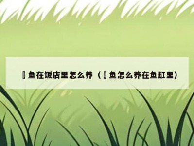 鮰鱼在饭店里怎么养（鮰鱼怎么养在鱼缸里）