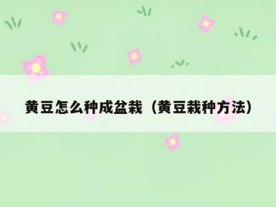 黄豆怎么种成盆栽（黄豆栽种方法）