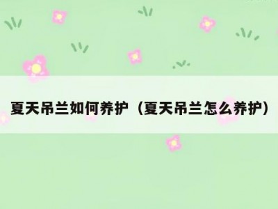 夏天吊兰如何养护（夏天吊兰怎么养护）