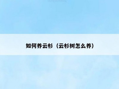 如何养云杉（云杉树怎么养）