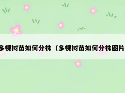 多棵树苗如何分株（多棵树苗如何分株图片）