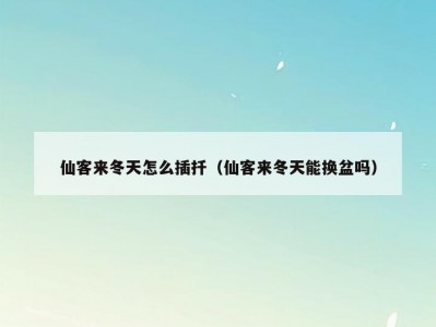 仙客来冬天怎么插扦（仙客来冬天能换盆吗）