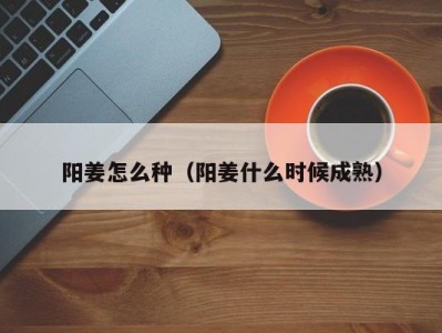 阳姜怎么种（阳姜什么时候成熟）