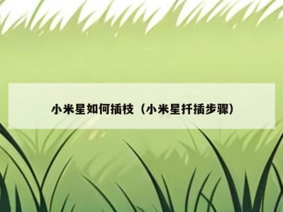 小米星如何插枝（小米星扦插步骤）
