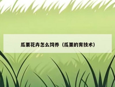 瓜栗花卉怎么饲养（瓜栗的育技术）