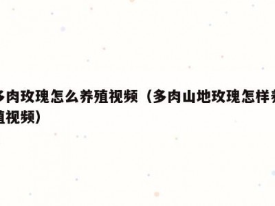 多肉玫瑰怎么养殖视频（多肉山地玫瑰怎样养殖视频）