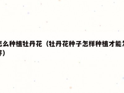 怎么种植牡丹花（牡丹花种子怎样种植才能发芽）