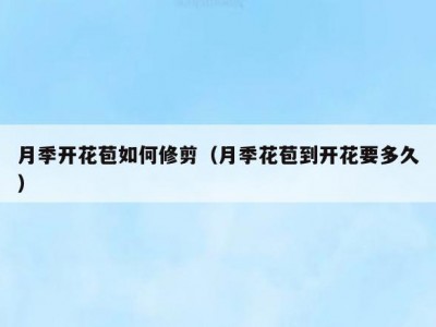 月季开花苞如何修剪（月季花苞到开花要多久）