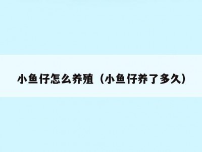 小鱼仔怎么养殖（小鱼仔养了多久）