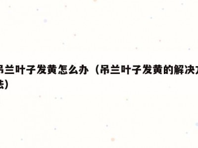 吊兰叶子发黄怎么办（吊兰叶子发黄的解决方法）