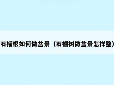石榴根如何做盆景（石榴树做盆景怎样整）
