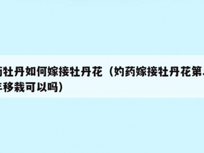 药牡丹如何嫁接牡丹花（妁药嫁接牡丹花第二年移栽可以吗）