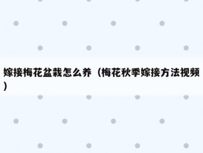 嫁接梅花盆栽怎么养（梅花秋季嫁接方法视频）