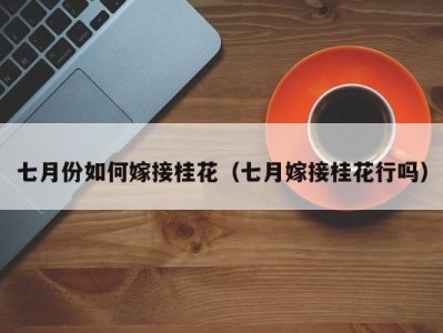 七月份如何嫁接桂花（七月嫁接桂花行吗）