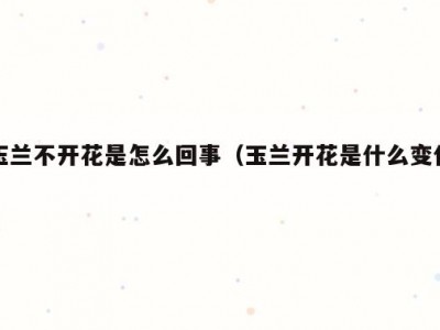 玉兰不开花是怎么回事（玉兰开花是什么变化）