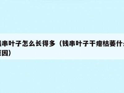 钱串叶子怎么长得多（钱串叶子干瘪枯萎什么原因）