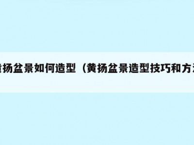 黄扬盆景如何造型（黄扬盆景造型技巧和方法）