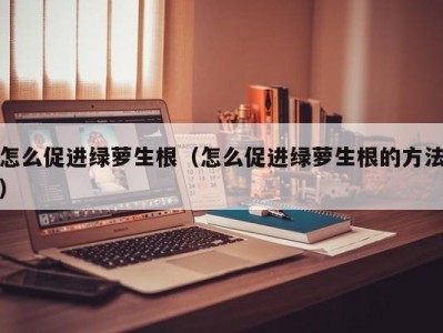 怎么促进绿萝生根（怎么促进绿萝生根的方法）