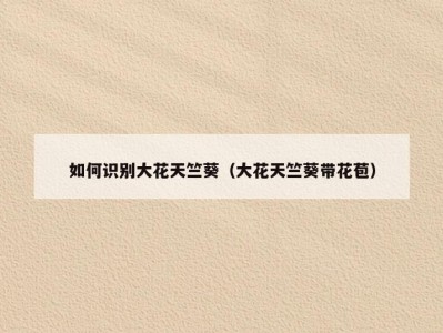 如何识别大花天竺葵（大花天竺葵带花苞）