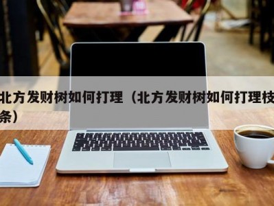 北方发财树如何打理（北方发财树如何打理枝条）
