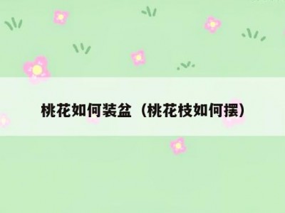 桃花如何装盆（桃花枝如何摆）