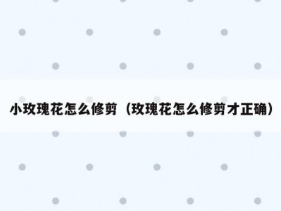 小玫瑰花怎么修剪（玫瑰花怎么修剪才正确）