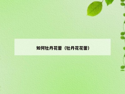 如何牡丹花蕾（牡丹花花蕾）