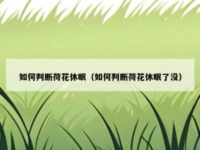如何判断荷花休眠（如何判断荷花休眠了没）