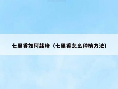 七里香如何栽培（七里香怎么种植方法）
