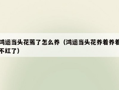 鸿运当头花蔫了怎么养（鸿运当头花养着养着不红了）