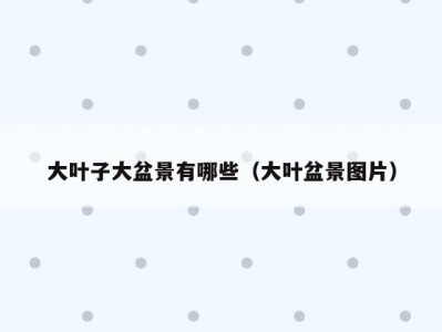 大叶子大盆景有哪些（大叶盆景图片）
