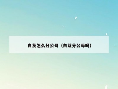 白芨怎么分公母（白芨分公母吗）