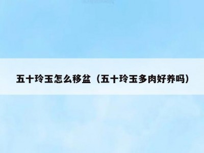 五十玲玉怎么移盆（五十玲玉多肉好养吗）