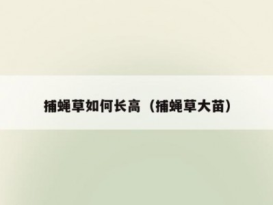 捕蝇草如何长高（捕蝇草大苗）