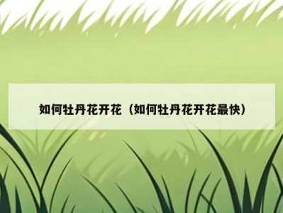 如何牡丹花开花（如何牡丹花开花最快）