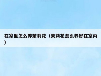 在家里怎么养茉莉花（茉莉花怎么养好在室内）