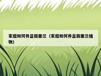 家庭如何养盆栽蕙兰（家庭如何养盆栽蕙兰植物）