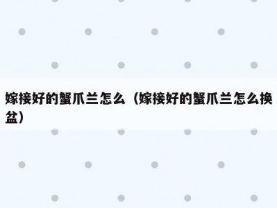 嫁接好的蟹爪兰怎么（嫁接好的蟹爪兰怎么换盆）
