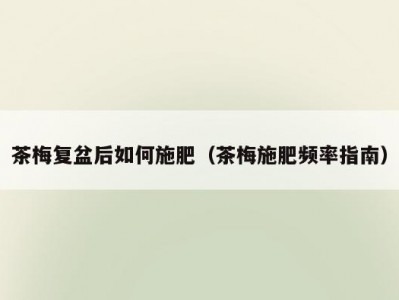 茶梅复盆后如何施肥（茶梅施肥频率指南）
