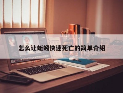怎么让蚯蚓快速死亡的简单介绍