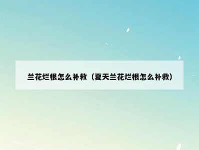 兰花烂根怎么补救（夏天兰花烂根怎么补救）