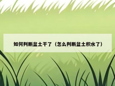 如何判断盆土干了（怎么判断盆土积水了）