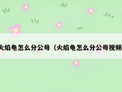 火焰龟怎么分公母（火焰龟怎么分公母视频）
