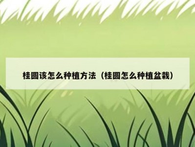 桂圆该怎么种植方法（桂圆怎么种植盆栽）