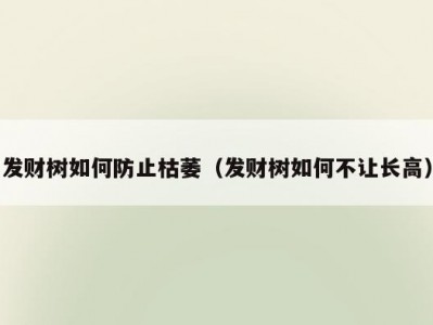 发财树如何防止枯萎（发财树如何不让长高）