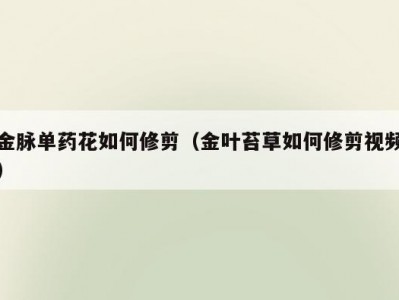 金脉单药花如何修剪（金叶苔草如何修剪视频）