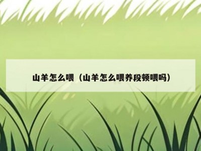 山羊怎么喂（山羊怎么喂养段顿喂吗）